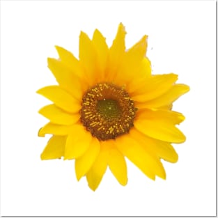 Yellow Sunflower -  Hello Summer Posters and Art